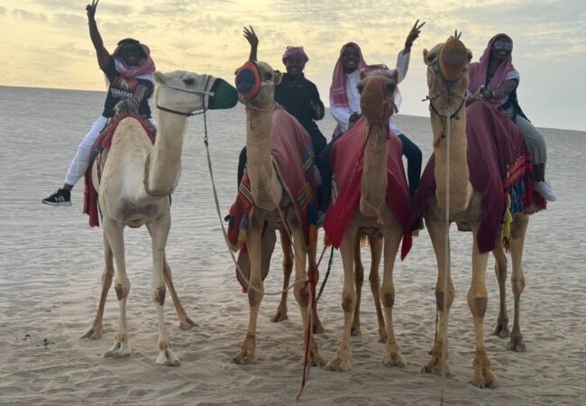 Oma Jim Explores - Camel Rides Qatar