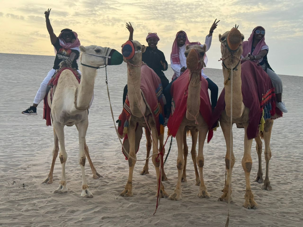 Oma Jim Explores - Camel Rides Qatar